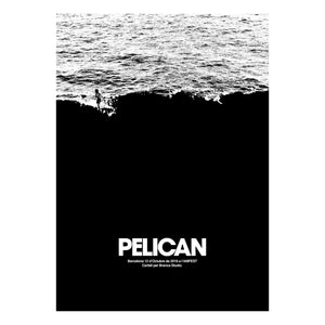 PELICAN - Barcelona 2019